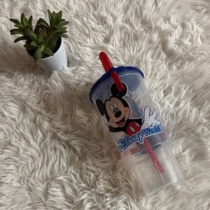 Magic Kingdom Tumbler with Straw